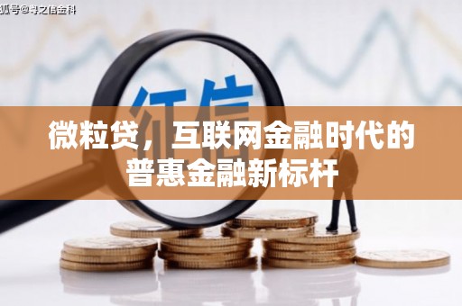 万年微粒贷，互联网金融时代的普惠金融新标杆