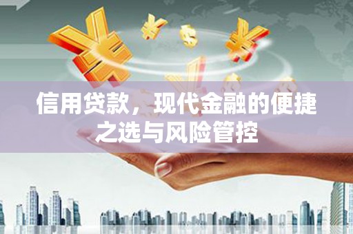 万年信用贷款，现代金融的便捷之选与风险管控