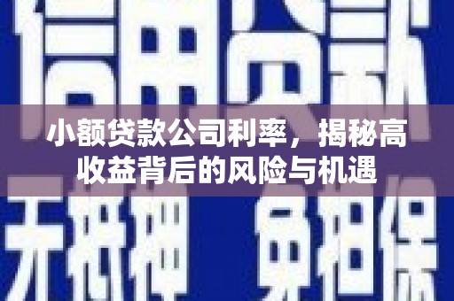 万年小额贷款公司利率，揭秘高收益背后的风险与机遇