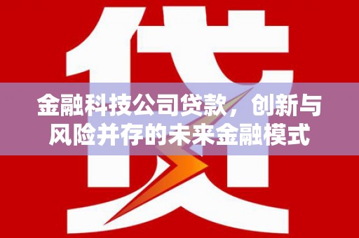 万年金融科技公司贷款，创新与风险并存的未来金融模式