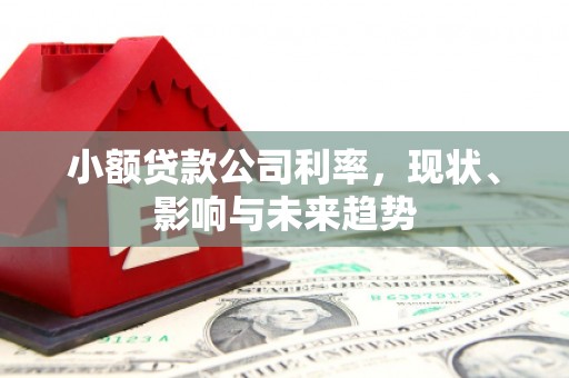 万年小额贷款公司利率，现状、影响与未来趋势