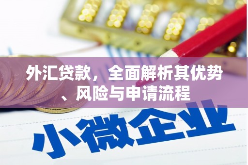 万年外汇贷款，全面解析其优势、风险与申请流程