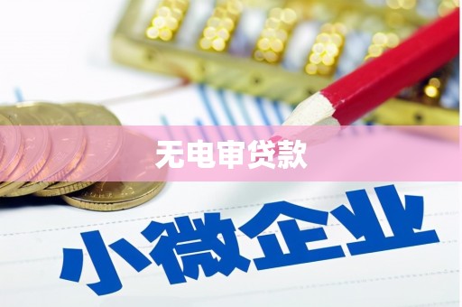 万年无电审贷款