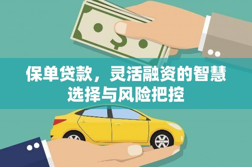 万年保单贷款，灵活融资的智慧选择与风险把控