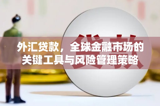 万年外汇贷款，全球金融市场的关键工具与风险管理策略