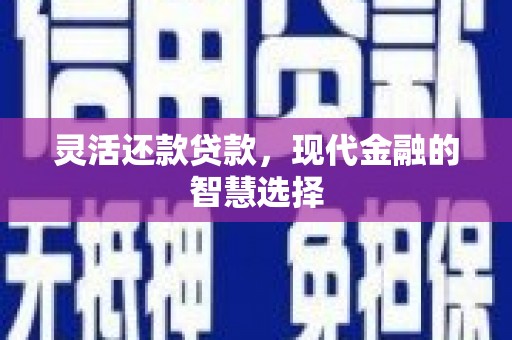 万年灵活还款贷款，现代金融的智慧选择