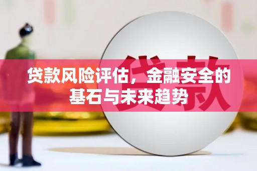 万年贷款风险评估，金融安全的基石与未来趋势