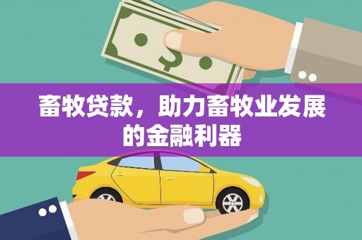 万年畜牧贷款，助力畜牧业发展的金融利器