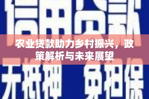 万年农业贷款助力乡村振兴，政策解析与未来展望