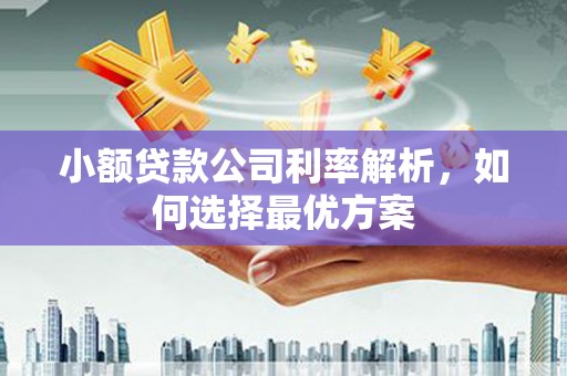 万年小额贷款公司利率解析，如何选择最优方案