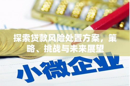 万年探索贷款风险处置方案，策略、挑战与未来展望