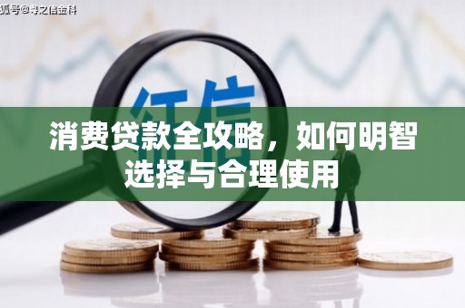 万年消费贷款全攻略，如何明智选择与合理使用