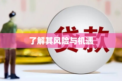 万年了解其风险与机遇