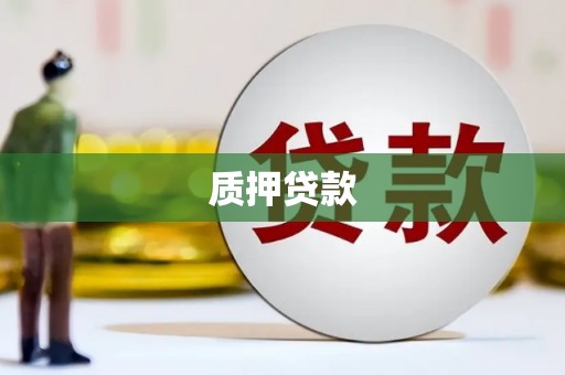 万年质押贷款