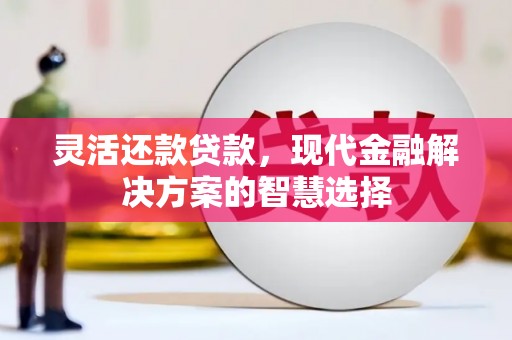 万年灵活还款贷款，现代金融解决方案的智慧选择