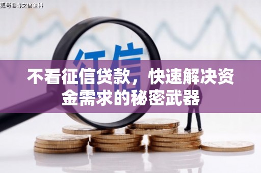 万年不看征信贷款，快速解决资金需求的秘密武器