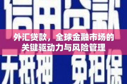 万年外汇贷款，全球金融市场的关键驱动力与风险管理