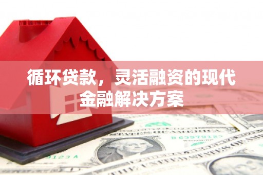 万年循环贷款，灵活融资的现代金融解决方案