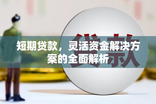 万年短期贷款，灵活资金解决方案的全面解析