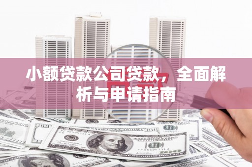 万年小额贷款公司贷款，全面解析与申请指南