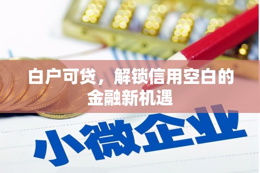 万年白户可贷，解锁信用空白的金融新机遇