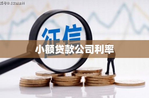 万年小额贷款公司利率