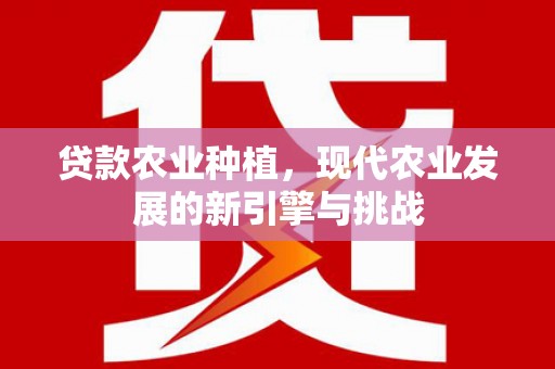 万年贷款农业种植，现代农业发展的新引擎与挑战