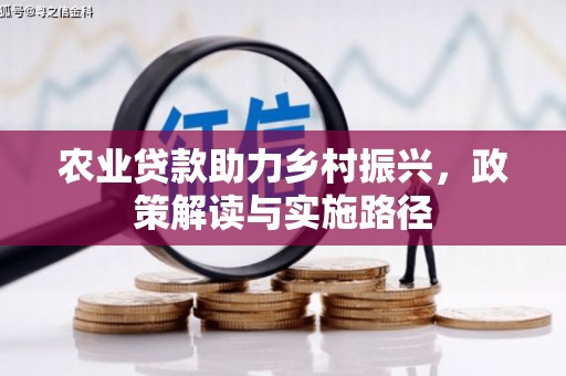 万年农业贷款助力乡村振兴，政策解读与实施路径