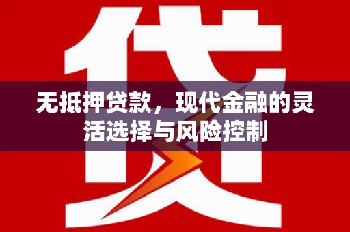 万年无抵押贷款，现代金融的灵活选择与风险控制
