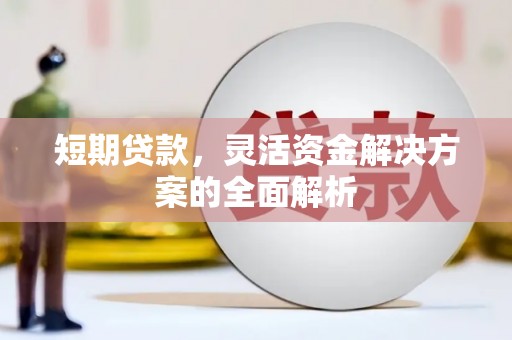 万年短期贷款，灵活资金解决方案的全面解析