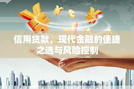 万年信用贷款，现代金融的便捷之选与风险控制