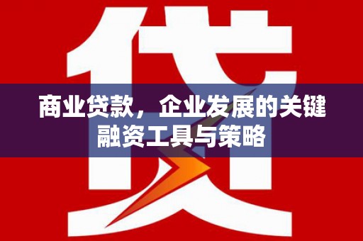 万年商业贷款，企业发展的关键融资工具与策略