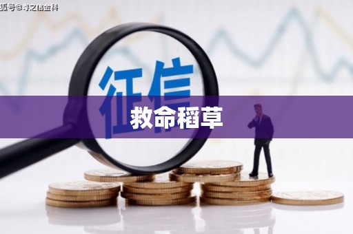 万年救命稻草