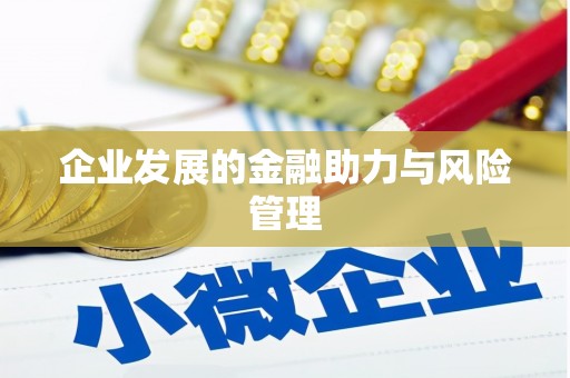 万年企业发展的金融助力与风险管理