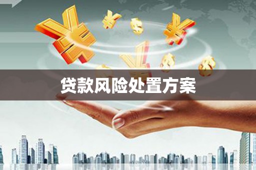 万年贷款风险处置方案