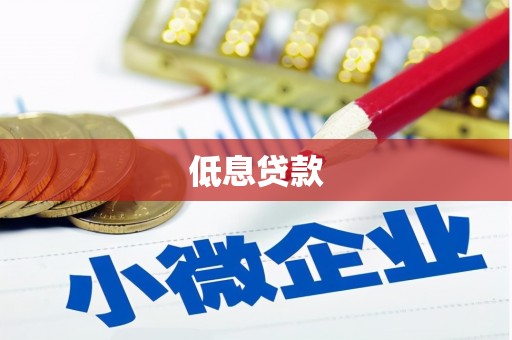 万年低息贷款