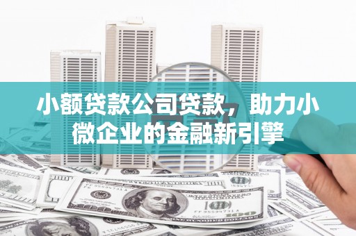 万年小额贷款公司贷款，助力小微企业的金融新引擎
