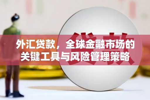 万年外汇贷款，全球金融市场的关键工具与风险管理策略