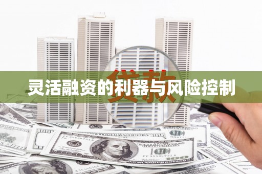 万年灵活融资的利器与风险控制