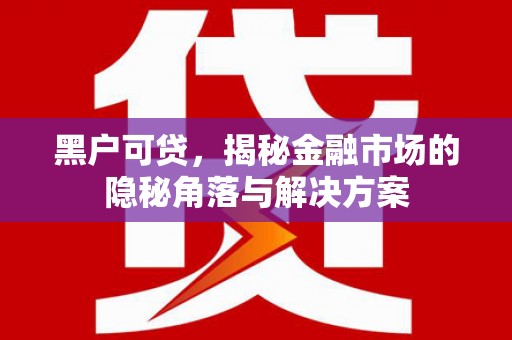 万年黑户可贷，揭秘金融市场的隐秘角落与解决方案