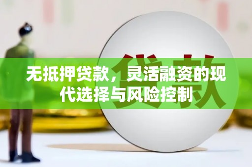 万年无抵押贷款，灵活融资的现代选择与风险控制