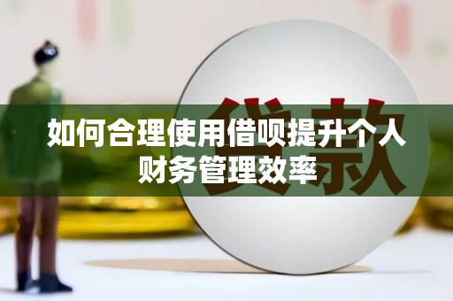 万年如何合理使用借呗提升个人财务管理效率