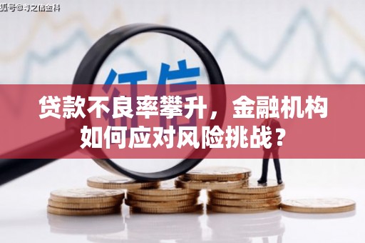 万年贷款不良率攀升，金融机构如何应对风险挑战？