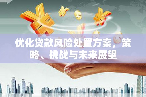 万年优化贷款风险处置方案，策略、挑战与未来展望