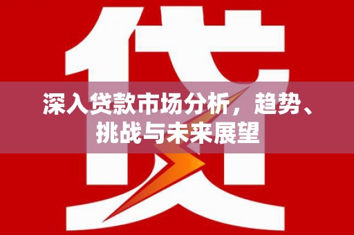 万年深入贷款市场分析，趋势、挑战与未来展望