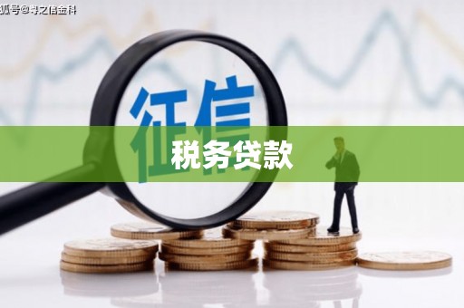 万年税务贷款