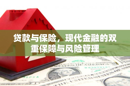 万年贷款与保险，现代金融的双重保障与风险管理