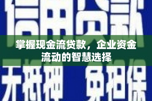 万年掌握现金流贷款，企业资金流动的智慧选择
