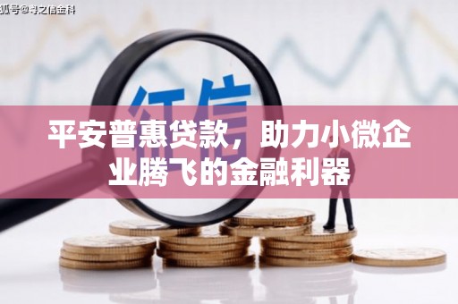 万年平安普惠贷款，助力小微企业腾飞的金融利器