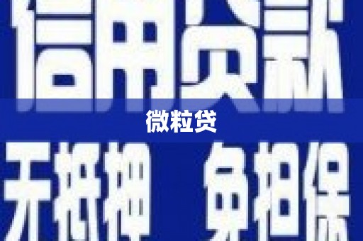万年微粒贷